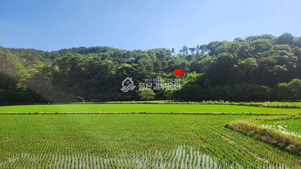 경북 상주시 외서면 백전리 외서면 백전리 임야(약9,010평) 매매 매물번호 11796 사진 7
