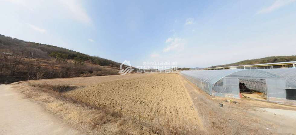 경북 상주시 중동면 회상리 중동면 회상리 농림지역(답794평) 매매 매물번호 11824 사진 2