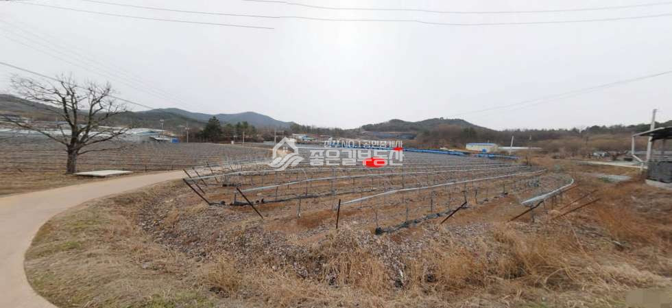 경북 상주시 모서면 이동리 모서면 이동리 대형농지(약3,311평) 매매 매물번호 11827 사진 2