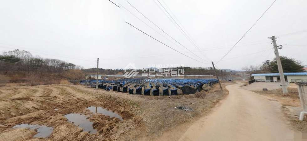 경북 상주시 모서면 이동리 모서면 이동리 대형농지(약3,311평) 매매 매물번호 11827 사진 5