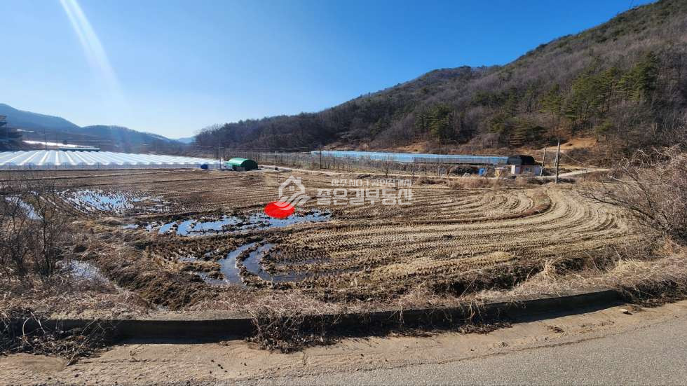 경북 상주시 모서면 화현리 모서면 화현리 계획관리 농지(답1,747평) 매매 매물번호 11559 사진 2