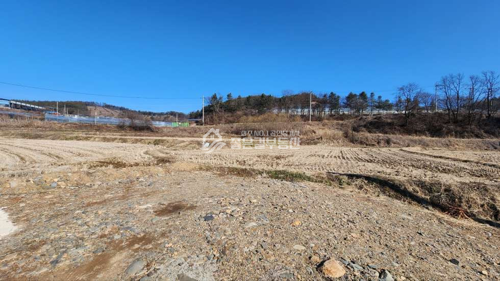 경북 상주시 모서면 화현리 모서면 화현리 계획관리 농지(답1,747평) 매매 매물번호 11559 사진 4