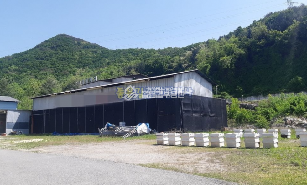 경북 상주시 낙양동 주1동 <임대> 낙양동 대로변 창고&주택(부지 1,225평, 건 163평) 월세 매물번호 10905 사진 2