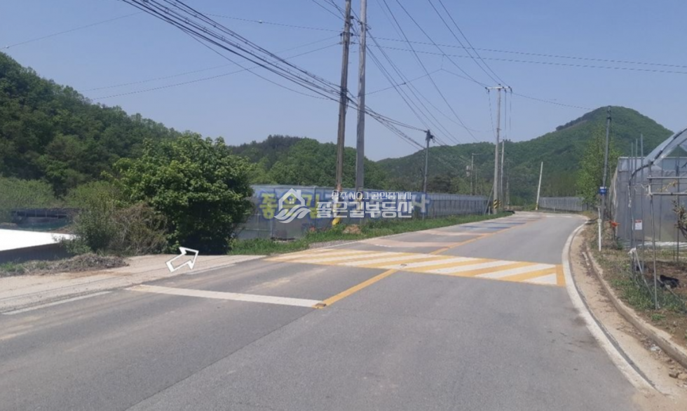 경북 상주시 모서면 대포리 모서면 대포리 2차선도로변 샤인머스켓밭(전321평) 매매 매물번호 10614 사진 3