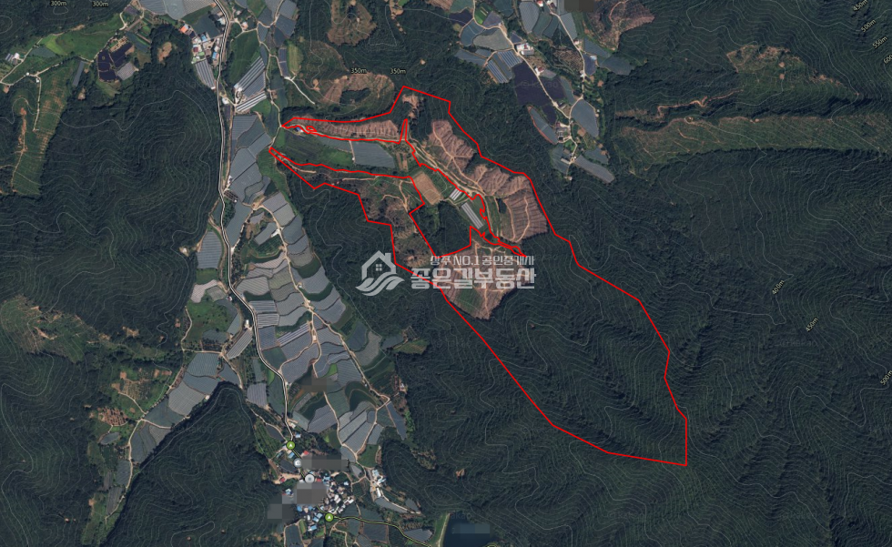경북 상주시 모동면 신흥리 <급매>모동면 신흥리 대형 임야(약135,120평) 매매 매물번호 11923 사진 1