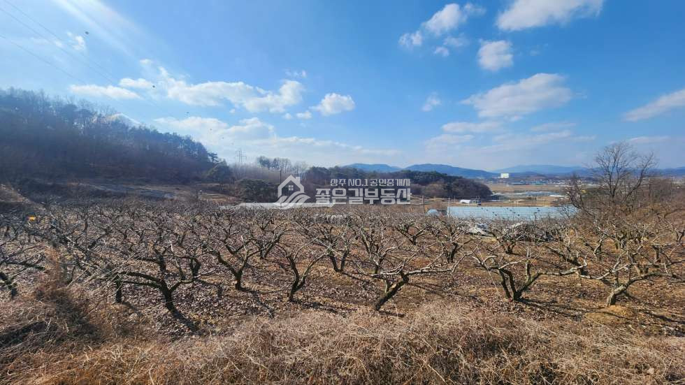 경북 상주시 낙상동 낙상동 생산관리지역 배과수원(전1,678평) 매매 매물번호 11478 사진 1