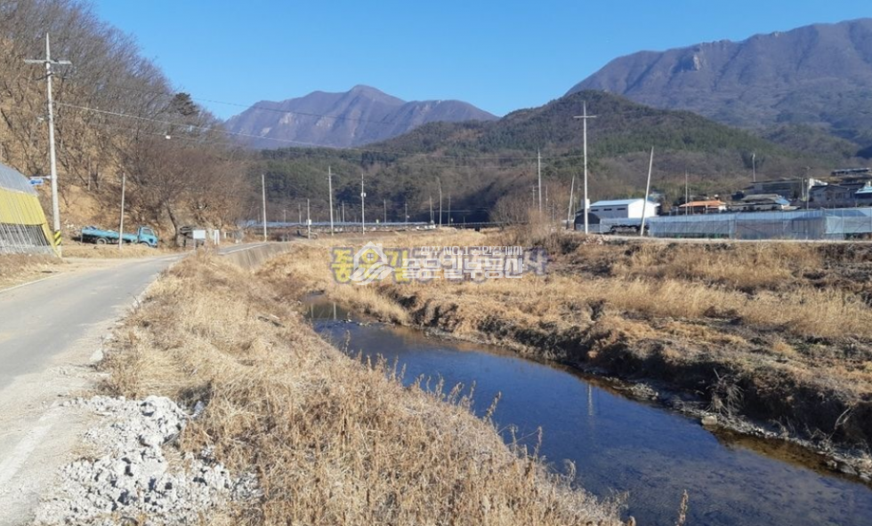 경북 상주시 모서면 호음리 모서면 호음리 시냇가 단독주택(대278평,연56평) 매매 매물번호 10567 사진 13