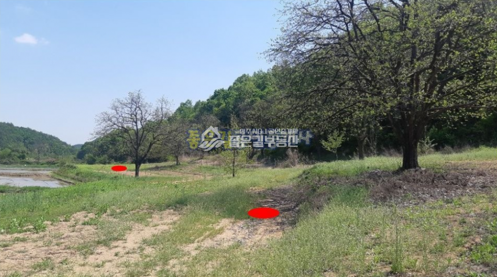 경북 상주시 외서면 예의리 외서면 예의리 한적한 농지(전 1,845평) 매매 매물번호 10226 사진 2