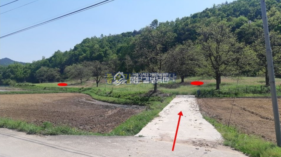 경북 상주시 외서면 예의리 외서면 예의리 한적한 농지(전 1,845평) 매매 매물번호 10226 사진 6