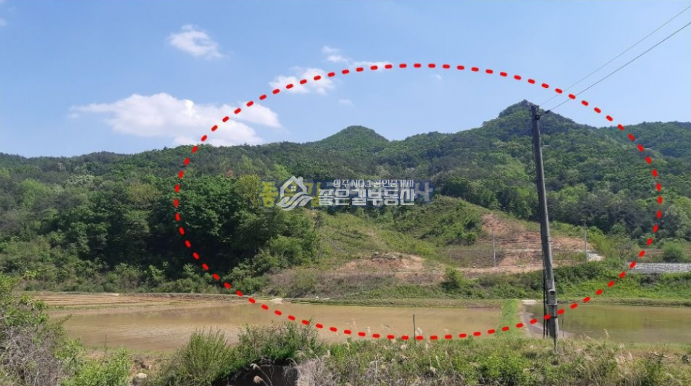 경북 상주시 외서면 대전리 외서면 대전리 개간된 임야 16,534평) 매매 매물번호 10227 사진 1