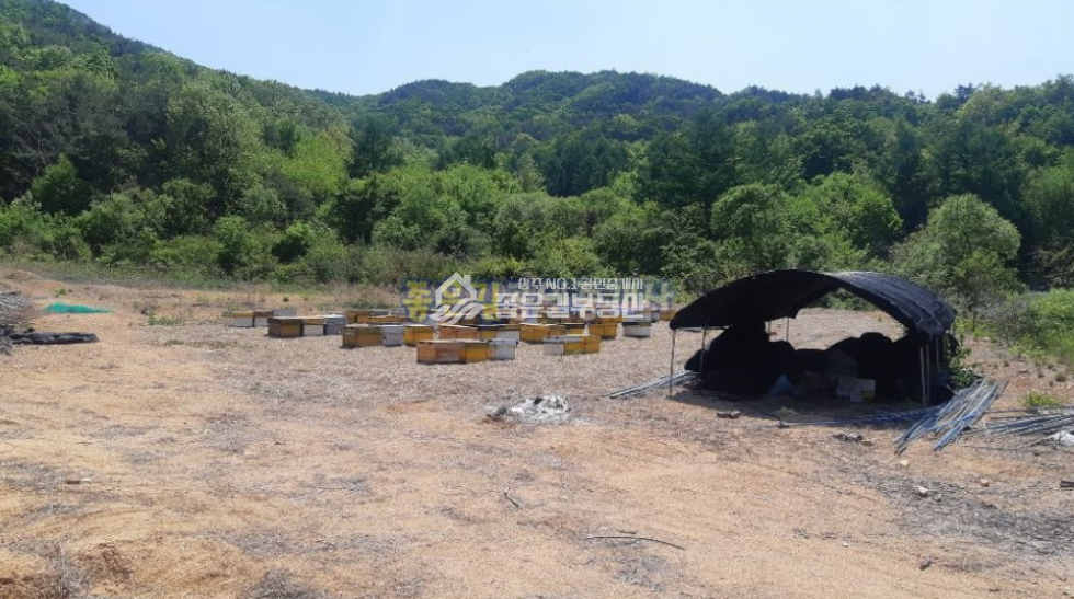 경북 상주시 외서면 대전리 외서면 대전리 개간된 임야 16,534평) 매매 매물번호 10227 사진 3