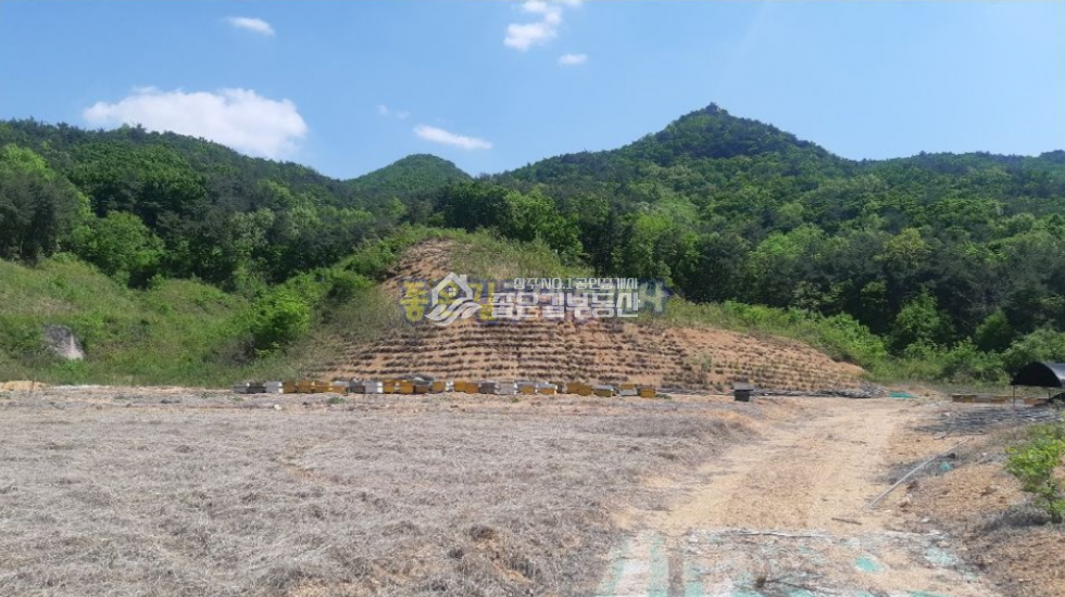 경북 상주시 외서면 대전리 외서면 대전리 개간된 임야 16,534평) 매매 매물번호 10227 사진 4