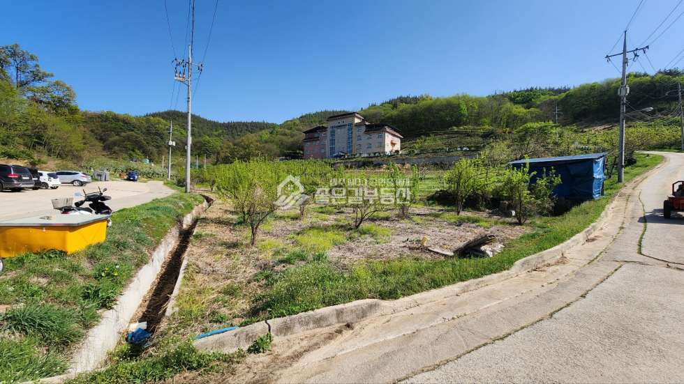 경북 상주시 공검면 화동리 공검면 화동리 주말농장(전 362평) 매매 매물번호 10972 사진 2