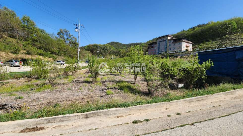 경북 상주시 공검면 화동리 공검면 화동리 주말농장(전 362평) 매매 매물번호 10972 사진 3