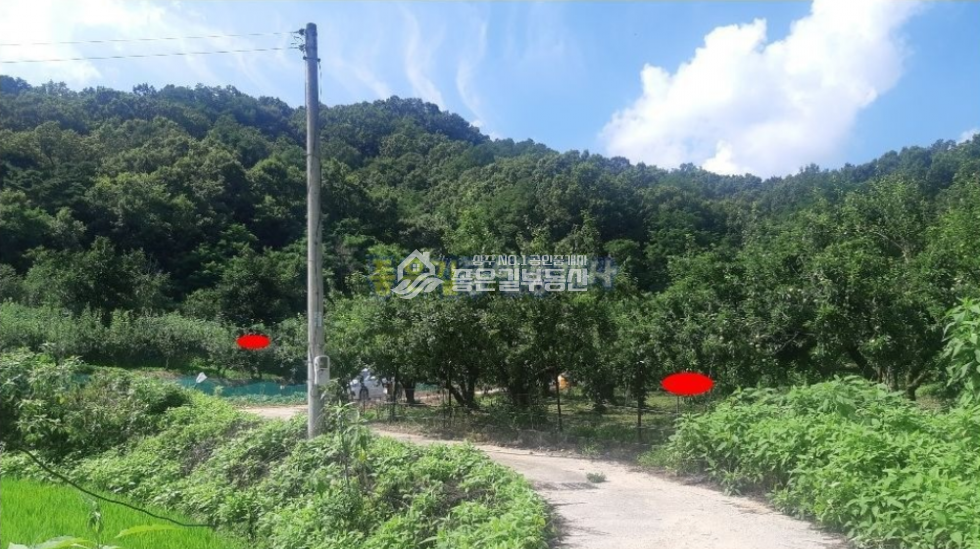 경북 상주시 공검면 부곡리 공검면 부곡리 조용하고 외딴 농지(전 976평) 매매 매물번호 10247 사진 1