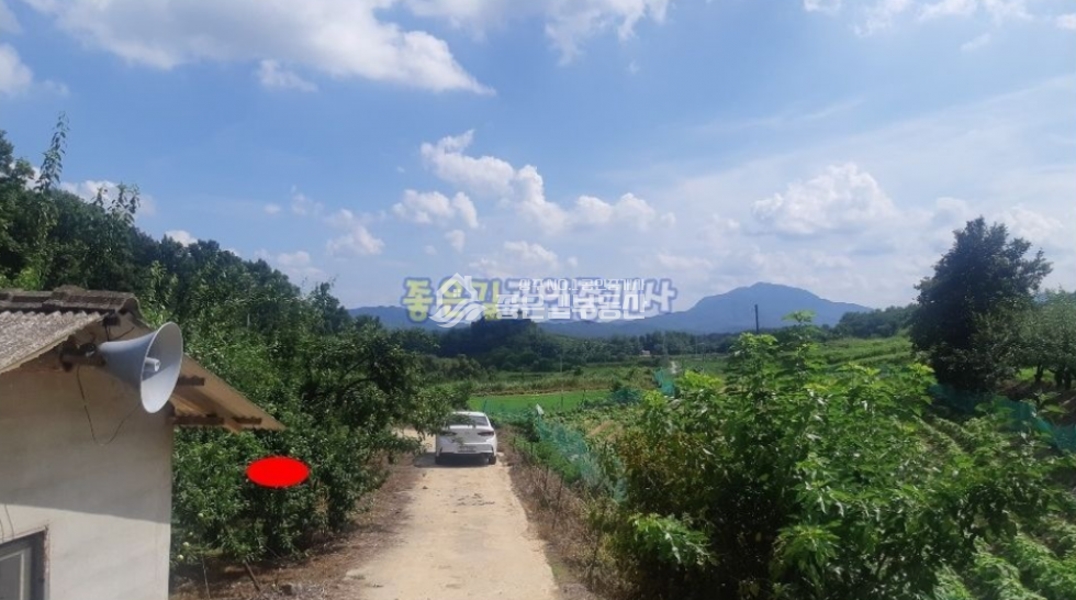 경북 상주시 공검면 부곡리 공검면 부곡리 조용하고 외딴 농지(전 976평) 매매 매물번호 10247 사진 2
