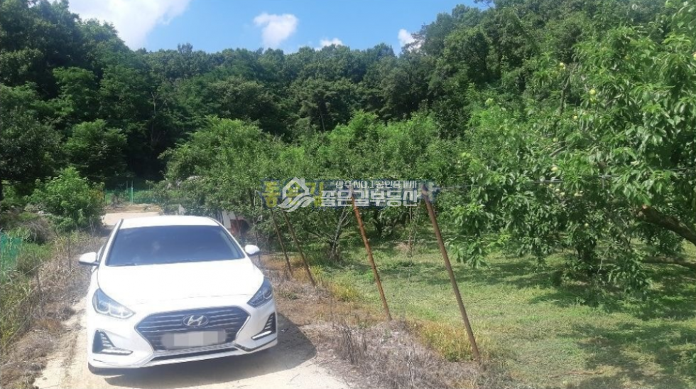 경북 상주시 공검면 부곡리 공검면 부곡리 조용하고 외딴 농지(전 976평) 매매 매물번호 10247 사진 3