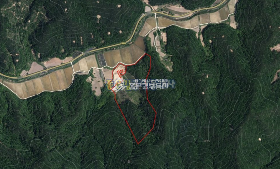 경북 상주시 외서면 대전리 외서면 대전리 개간된 임야 16,534평) 매매 매물번호 10227 사진 7