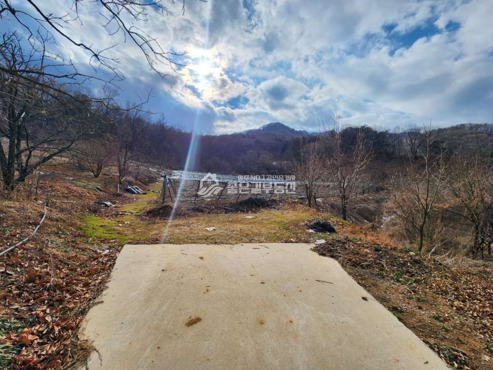 경북 상주시 공성면 봉산리 공성면 봉산리 산밑자락 포도밭(전1,202평) 매매 매물번호 12040 사진 3