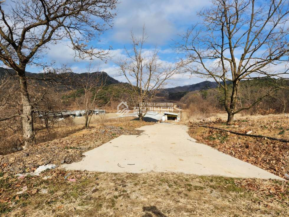 경북 상주시 공성면 봉산리 공성면 봉산리 산밑자락 포도밭(전1,202평) 매매 매물번호 12040 사진 4