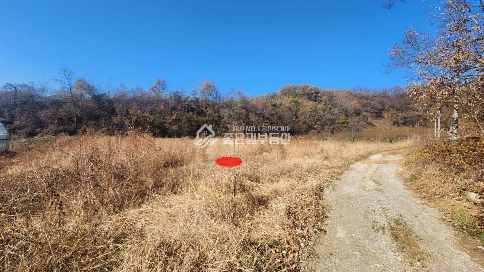 경북 상주시 외서면 연봉리 연봉리 산밑자락 계획관리(과974평) 매매 매물번호 11337 사진 2