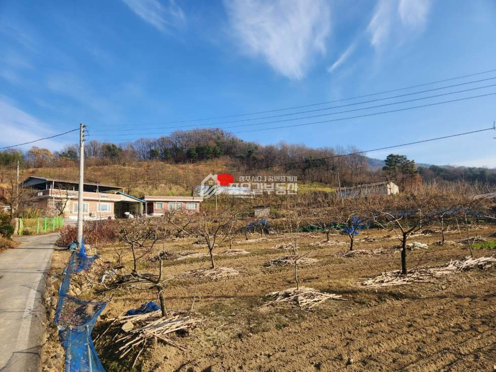 경북 상주시 인평동 인평동 산밑자락 대형 과수원(약4,215평) 매매 매물번호 12047 사진 1