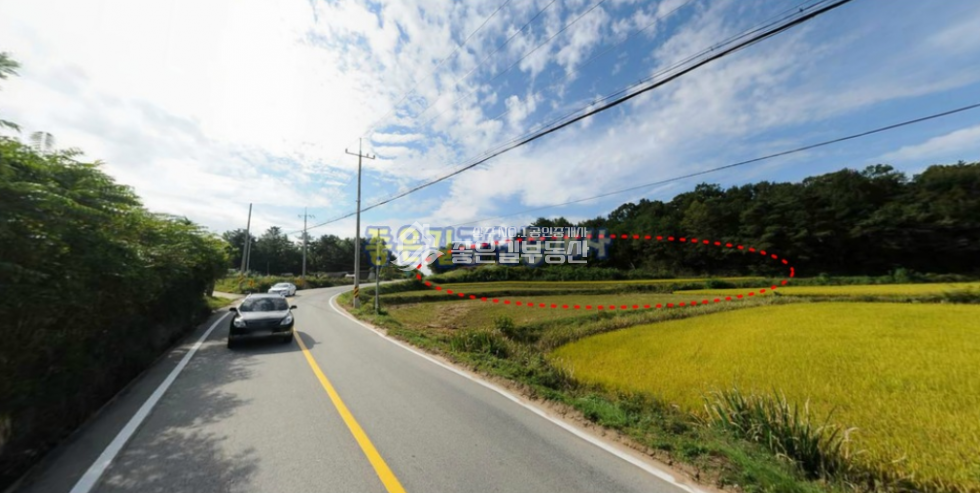 경북 상주시 낙동면 물량리 낙동면 물량리 2차선도로접 농지(전 393평) 매매 매물번호 10234 사진 4