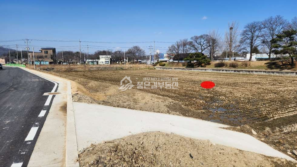 경북 상주시 복룡동 복룡동 도시계획예정도로접 개발지(답 476평) 매매 매물번호 11283 사진 1