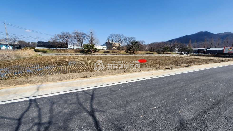 경북 상주시 복룡동 복룡동 도시계획예정도로접 개발지(답 476평) 매매 매물번호 11283 사진 3