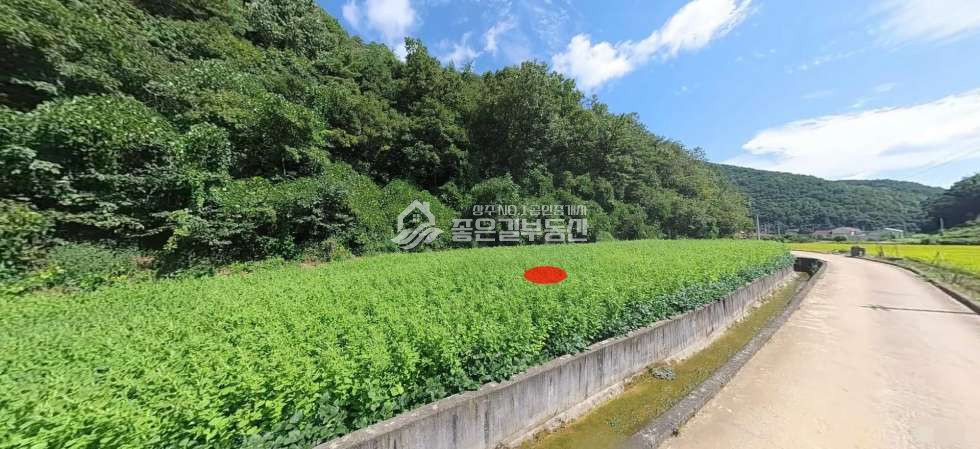 경북 문경시 호계면 부곡리 문경시 호계면 부곡리 산밑자락 개발지(약319평) 매매 매물번호 12066 사진 2