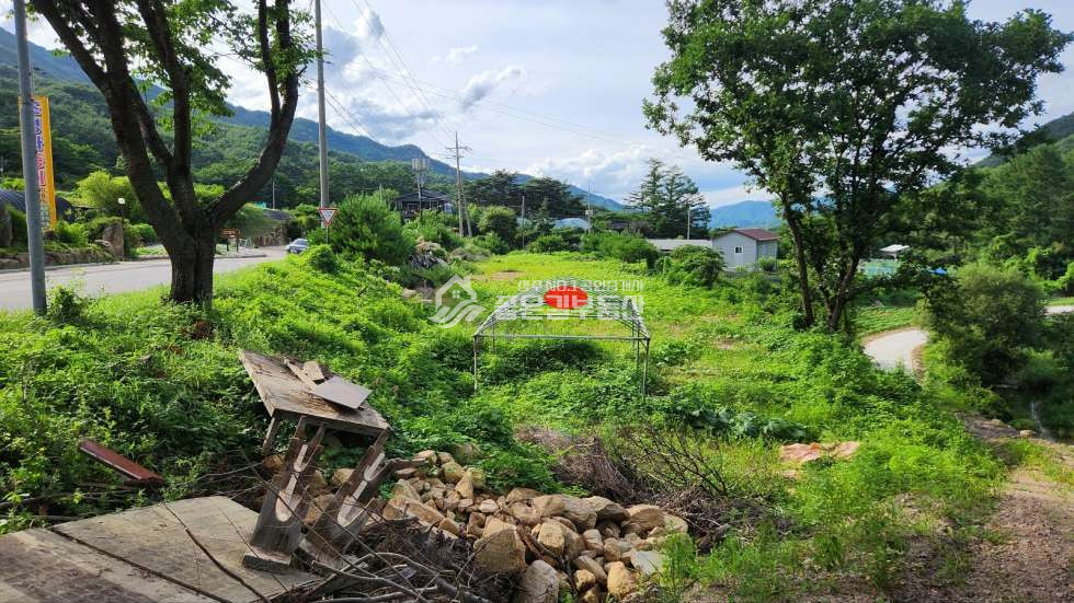 경북 상주시 화북면 입석리 화북면 입석리 계곡 옆 개발지(답328평) 매매 매물번호 12071 사진 2