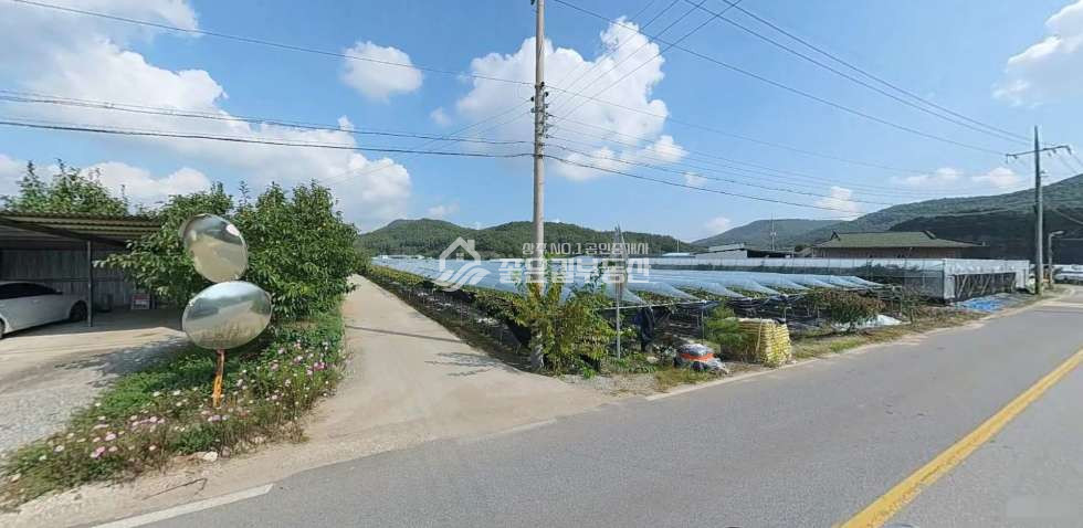 경북 상주시 모서면 석산리 석산리 마을 옆 도로변 포도밭(전423평) 매매 매물번호 12103 사진 1