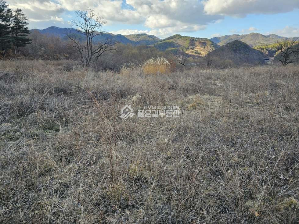 경북 상주시 모서면 호음리 호음리 외딴곳 생산관리 토지(약1,423평) 매매 매물번호 12109 사진 2