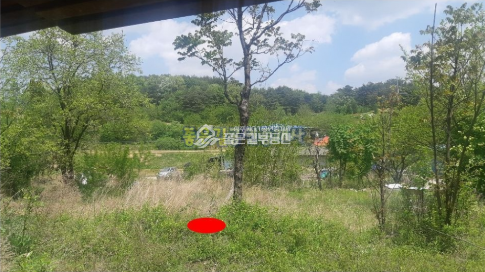 경북 상주시 낙동면 신오리 낙동면 신오리 폐가(대70평) 매매 매물번호 10225 사진 5