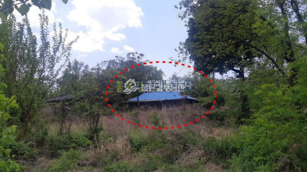 경북 상주시 낙동면 신오리 낙동면 신오리 폐가(대70평) 매매 매물번호 10225 사진 7