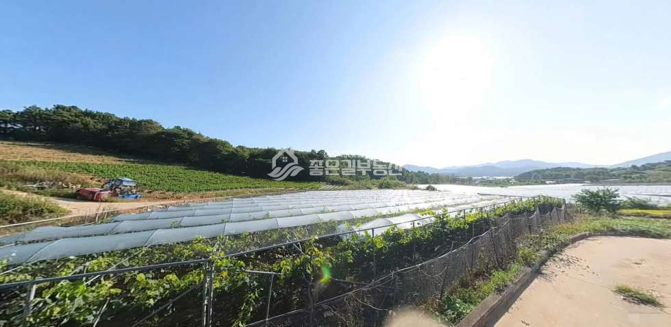 경북 상주시 모동면 금천리 모동면 금천리 농림지역 농지(전478평) 매매 매물번호 12166 사진 1