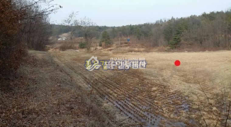 경북 상주시 공검면 오태리 공검면 오태리 외딴 산골 농지(답 1,246평) 매매 매물번호 10055 사진 2