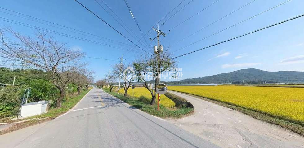 경북 상주시 낙동면 화산리 낙동면 화산리 2차선도로접 농지(답687평) 매매 매물번호 12185 사진 2