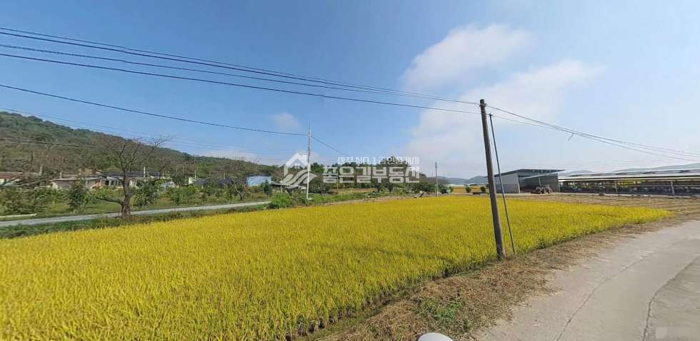 경북 상주시 낙동면 화산리 낙동면 화산리 2차선도로접 농지(답687평) 매매 매물번호 12185 사진 4