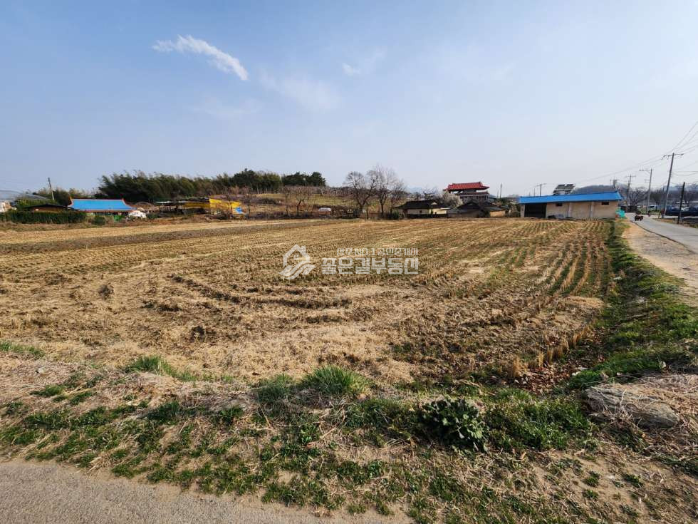 경북 상주시 화산동 화산동 자연녹지 개발지(답1,215평) 매매 매물번호 12198 사진 1