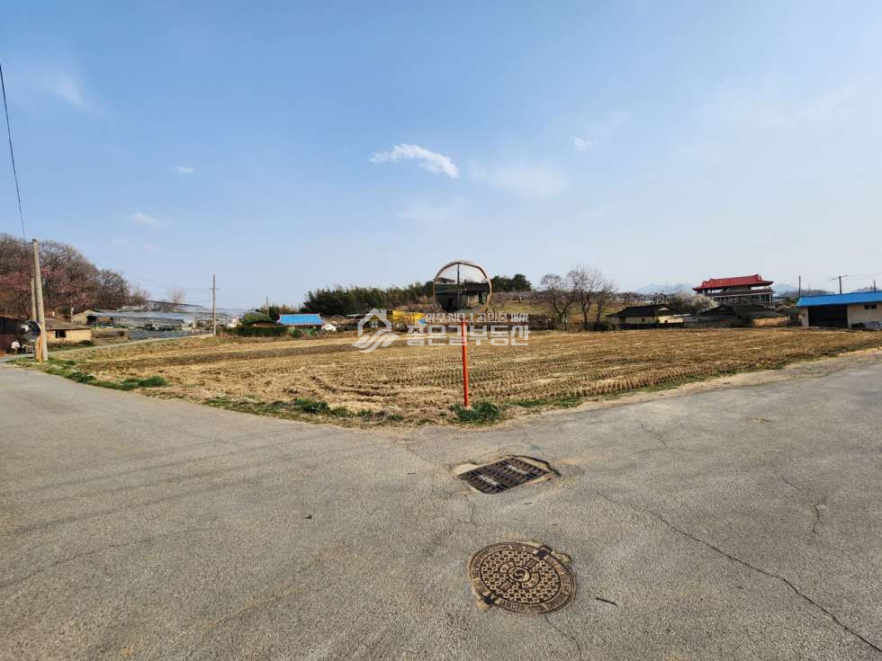 경북 상주시 화산동 화산동 자연녹지 개발지(답1,215평) 매매 매물번호 12198 사진 6