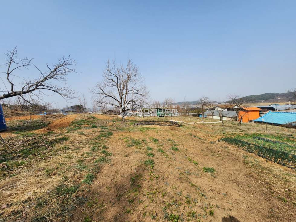경북 상주시 중덕동 중덕동 마을 위 계획관리 개발지(전466평) 매매 매물번호 12212 사진 4