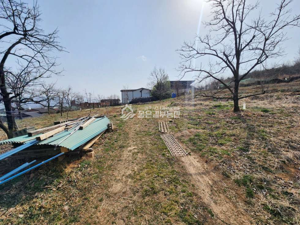 경북 상주시 중덕동 중덕동 마을 위 계획관리 개발지(전466평) 매매 매물번호 12212 사진 5