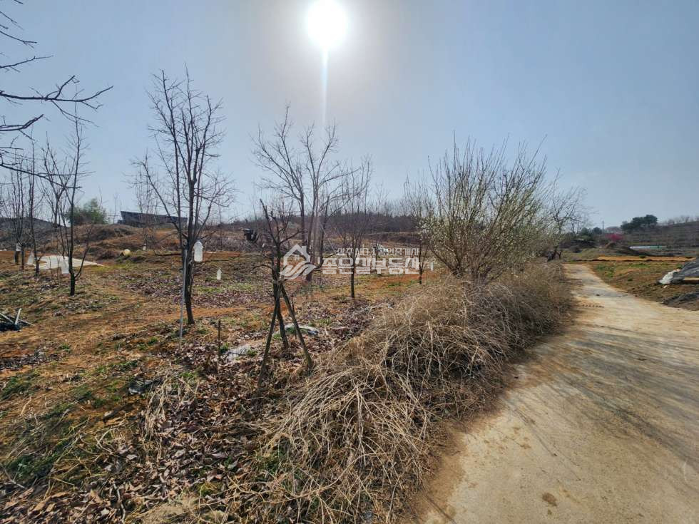 경북 상주시 중덕동 중덕동 마을 위 계획관리 개발지(전291평) 매매 매물번호 12213 사진 4