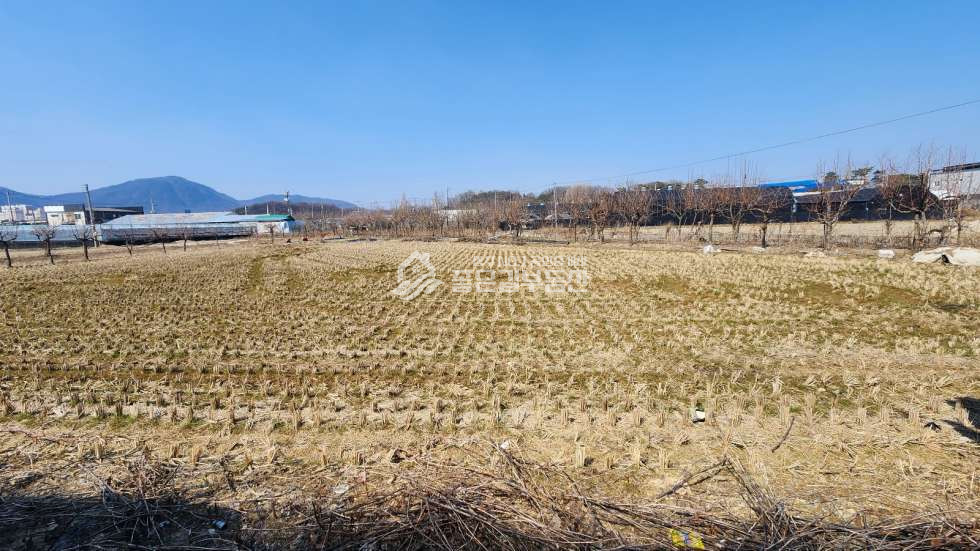 경북 상주시 냉림동 <급매>냉림동 2종일반주거 개발지(답446평) 매매 매물번호 11557 사진 3