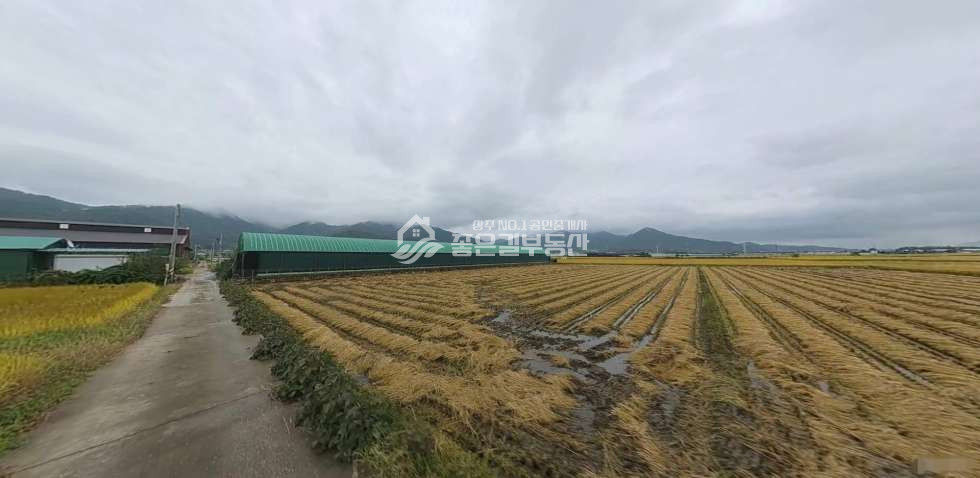 경북 상주시 신봉동 신봉뜰 생산녹지지역 농지(답922평) 매매 매물번호 12184 사진 1