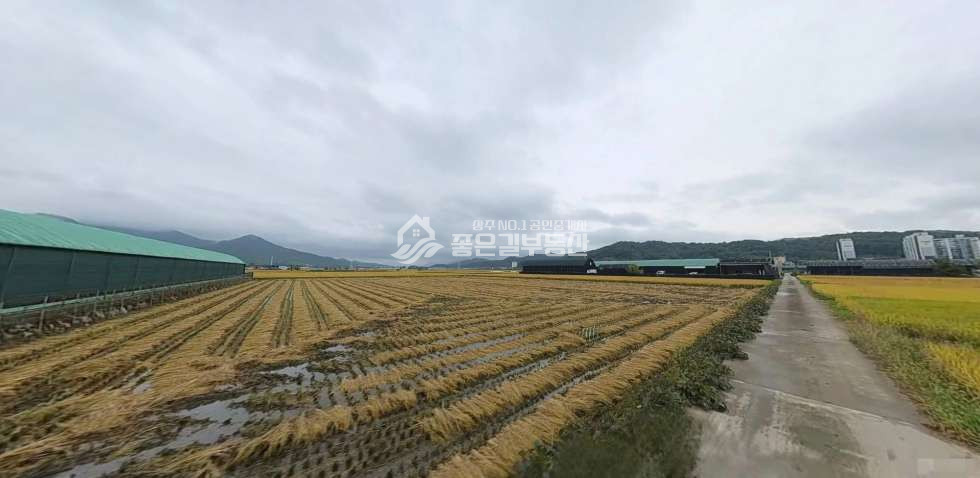 경북 상주시 신봉동 신봉뜰 생산녹지지역 농지(답922평) 매매 매물번호 12184 사진 3