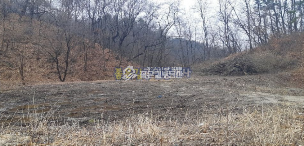 경북 상주시 공성면 도곡리 공성면 산등성이 2차선도로접(답 598평) 매매 매물번호 10064 사진 2
