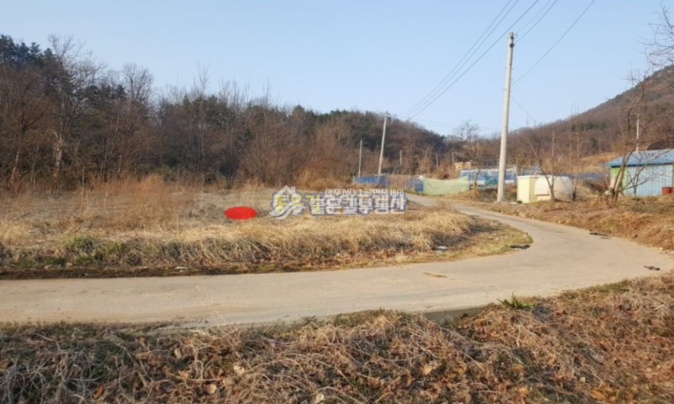 경북 상주시 연원동 상주시 연원동 개발지 1,480평 매매 매물번호 10096 사진 5