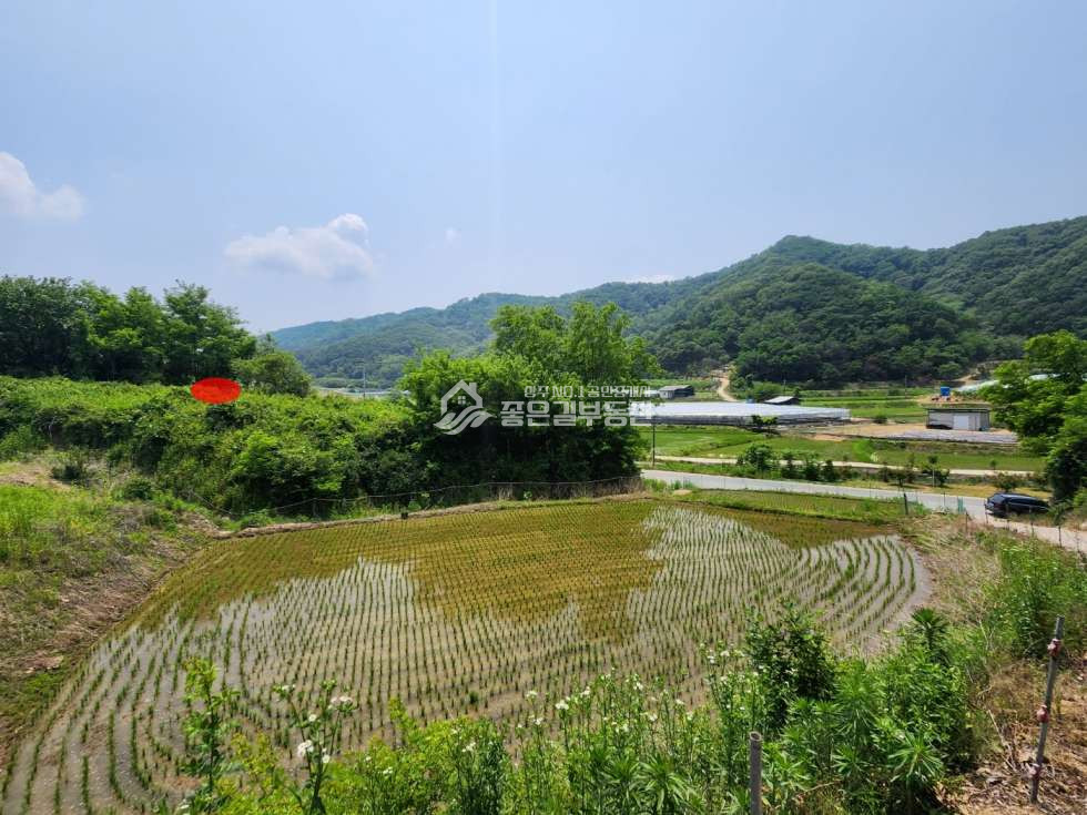 경북 상주시 공성면 이화리 이화리 2차선 도로접 개발지(전673평) 매매 매물번호 12310 사진 1